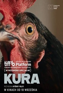 Kura